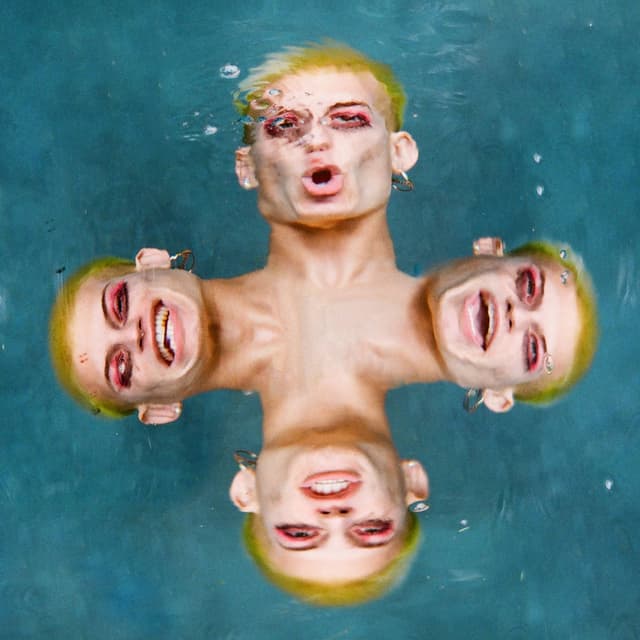 My Favorite Fish cover