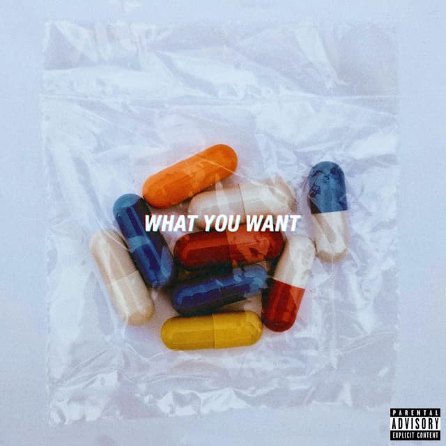 What You Want cover