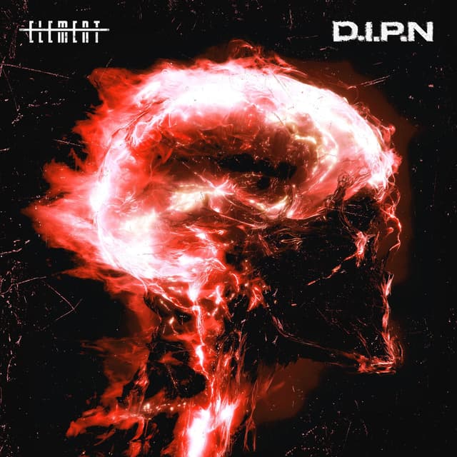D.I.P.N cover