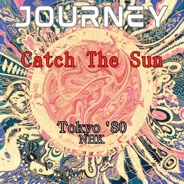 Catch The Sun (Live Tokyo '80) cover