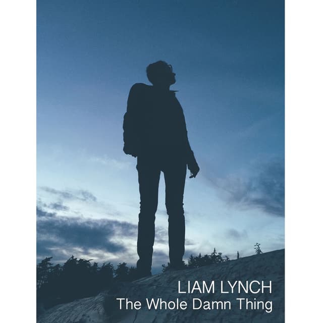 The Whole Damn Thing cover