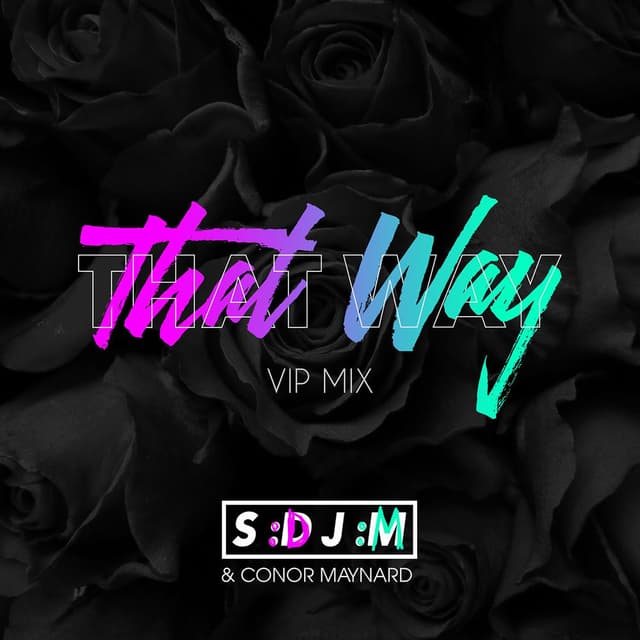 That Way (VIP Mix) album cover