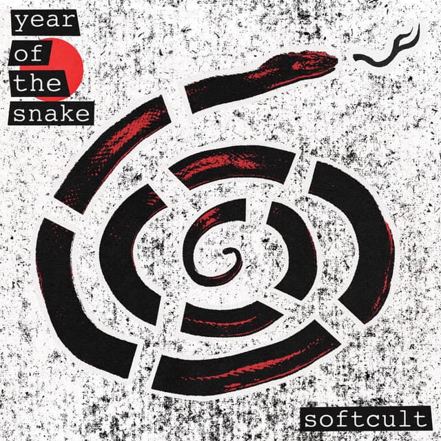 Year of the Snake cover