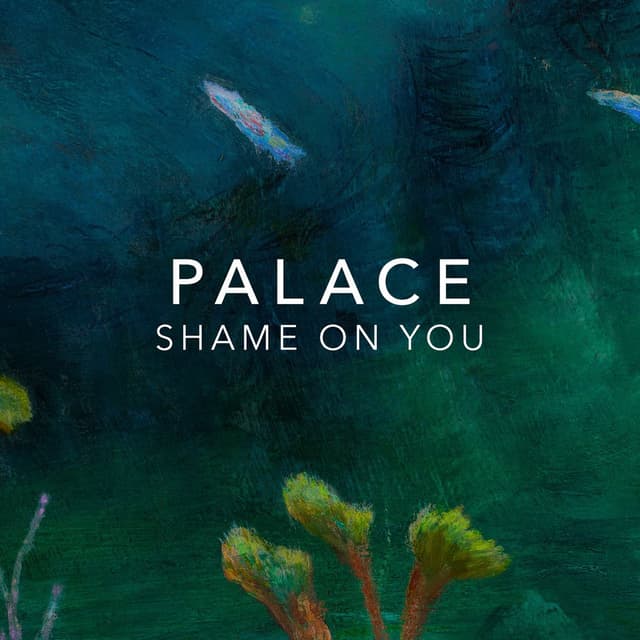 Shame On You cover