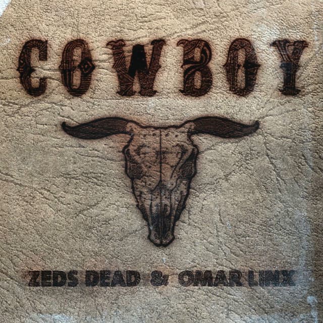 Cowboy (Remixes) cover