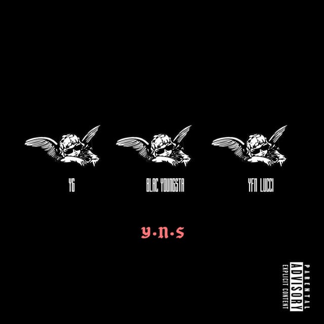 YNS cover