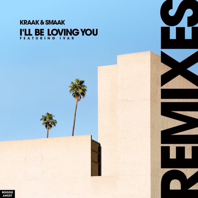I'll Be Loving You (Remixes) cover