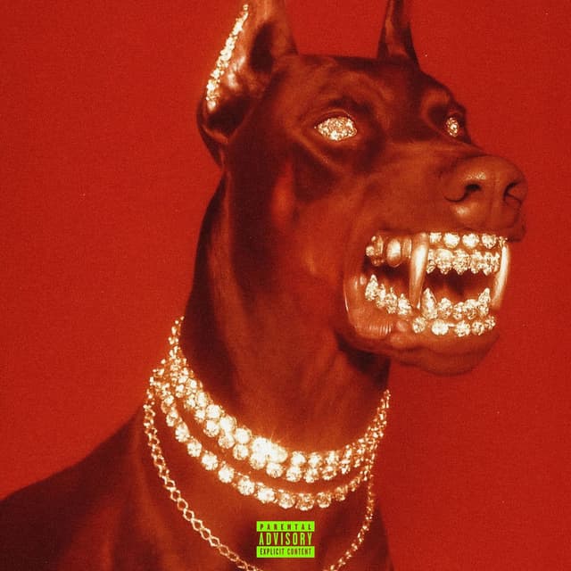 Party & Bullshit cover