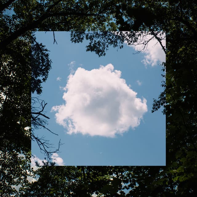 Bloom Innocent (Alternate Versions) cover