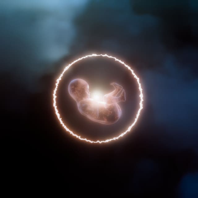 before it begins cover