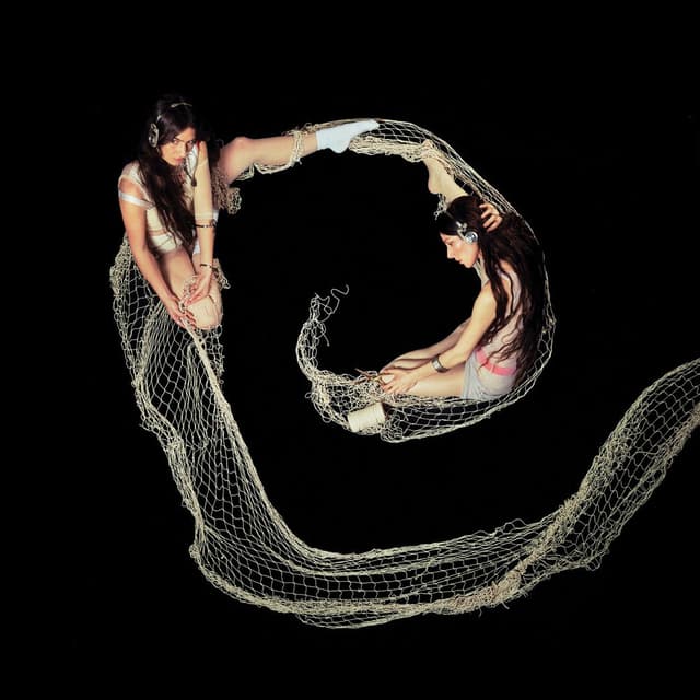 Butterfly Net (feat. Weyes Blood) cover