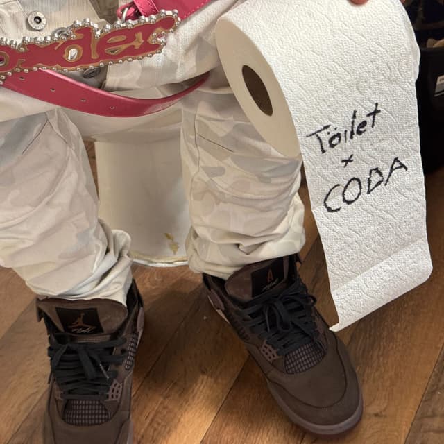 Toilet cover