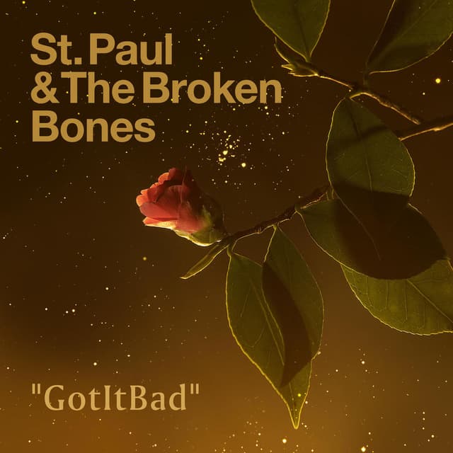 GotItBad album cover