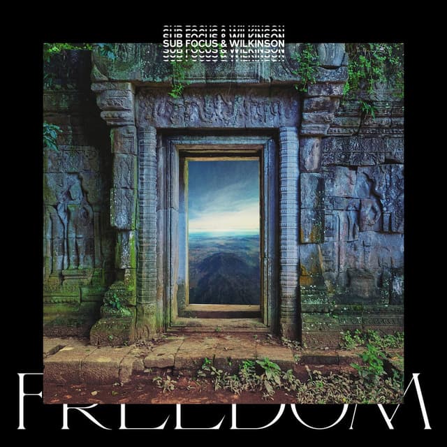 Freedom (Sub Focus x Wilkinson x High Contrast Remix) cover