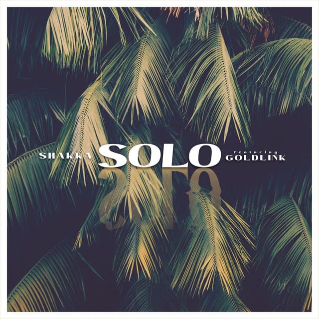 Solo cover