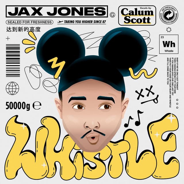 Whistle (Versions) cover