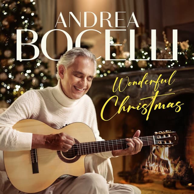 Wonderful Christmas cover