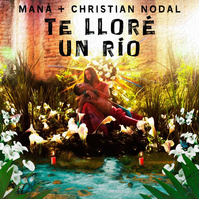Te Lloré Un Río cover
