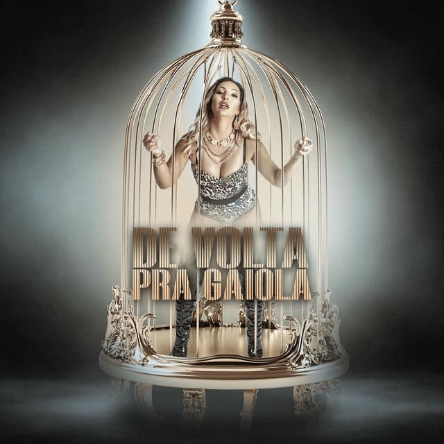 De volta pra Gaiola cover
