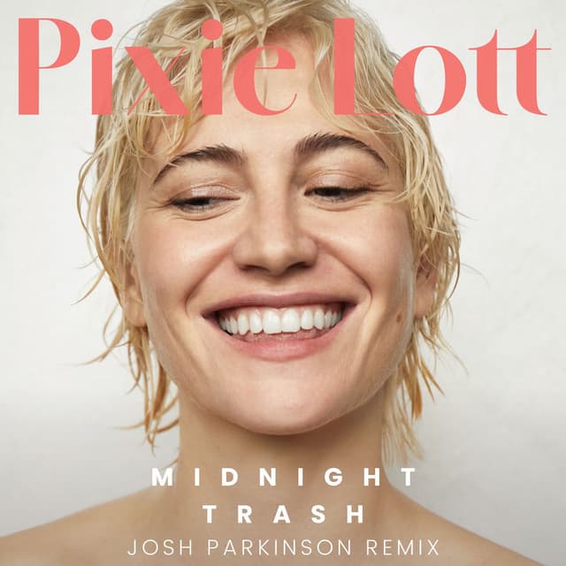 Midnight Trash (Josh Parkinson Remix) cover
