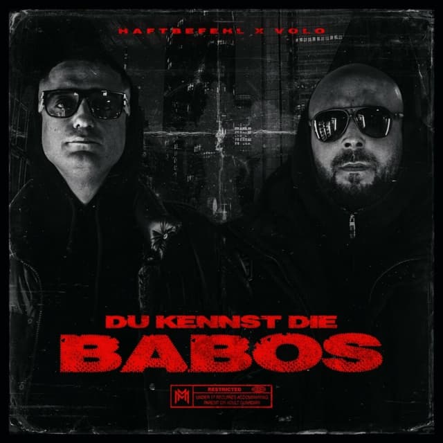 DU KENNST DIE BABOS cover