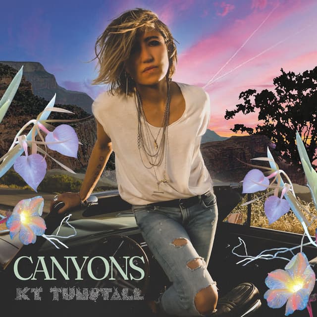 Canyons cover