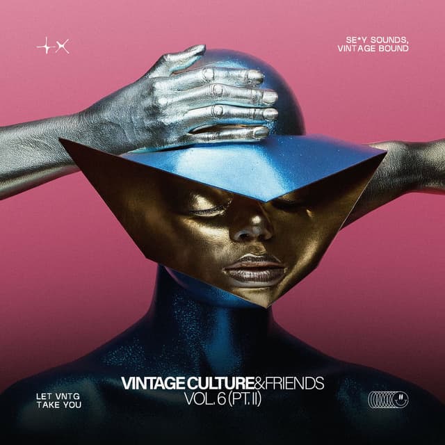 Vintage Culture & Friends, Vol. 6 (Pt. II) cover