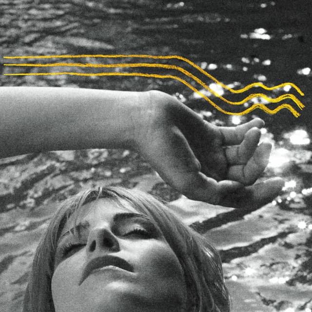 Zissou cover