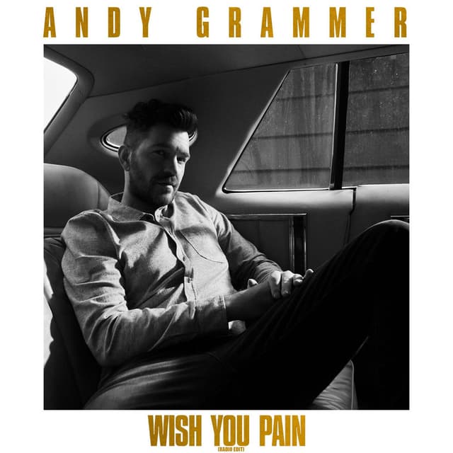 Wish You Pain (Radio Edit) cover