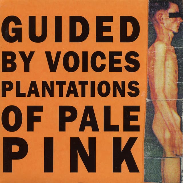 Plantations of Pale Pink cover