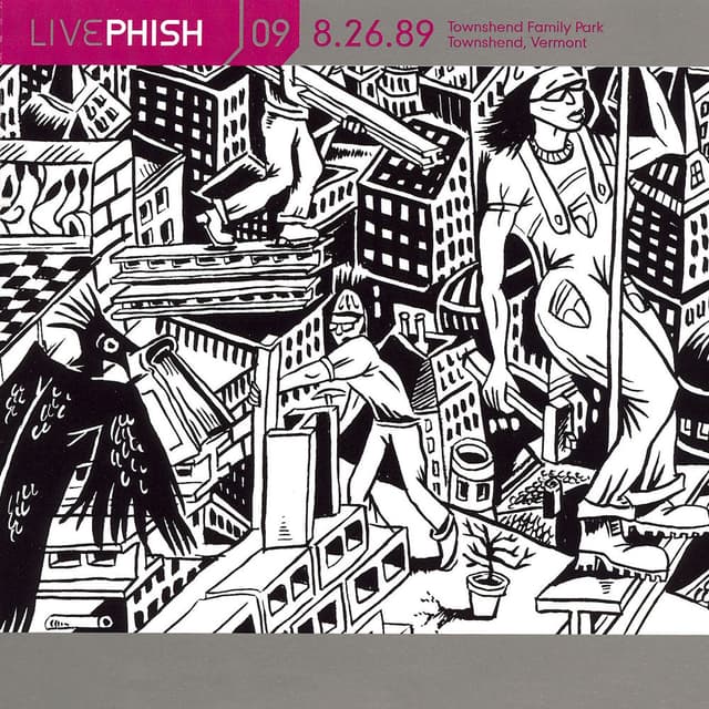LivePhish, Vol. 9 8/26/89 (Townshend Famlly Park, Townshend, VT) cover