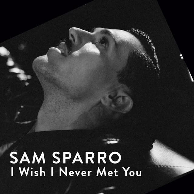 I Wish I Never Met You cover