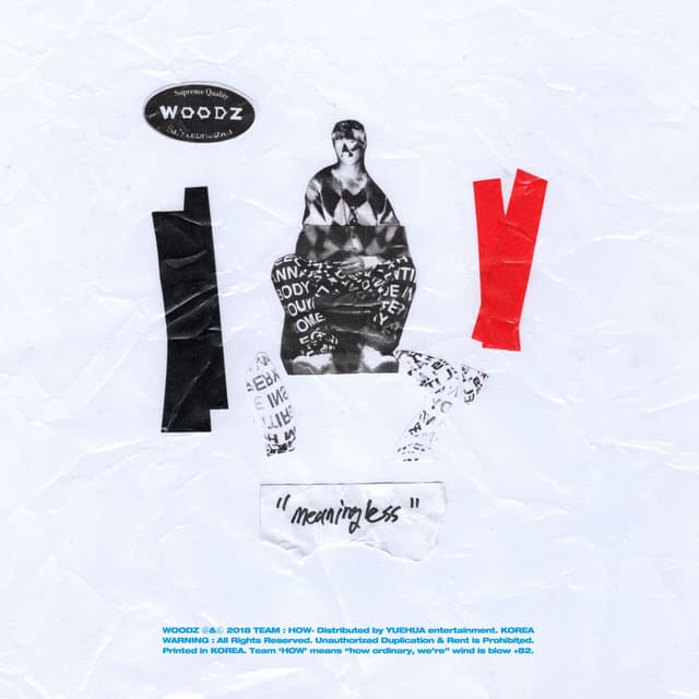 meaningless cover