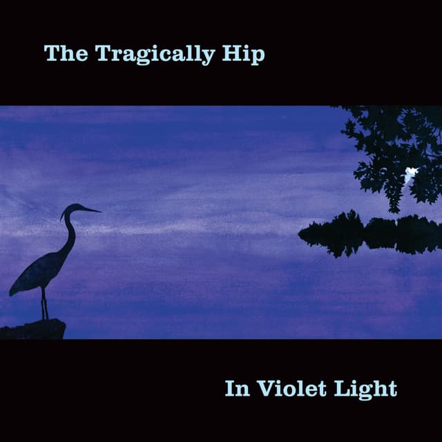 In Violet Light cover