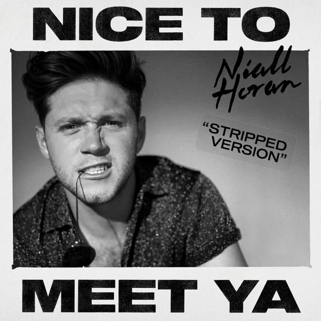 Nice To Meet Ya (Stripped) cover
