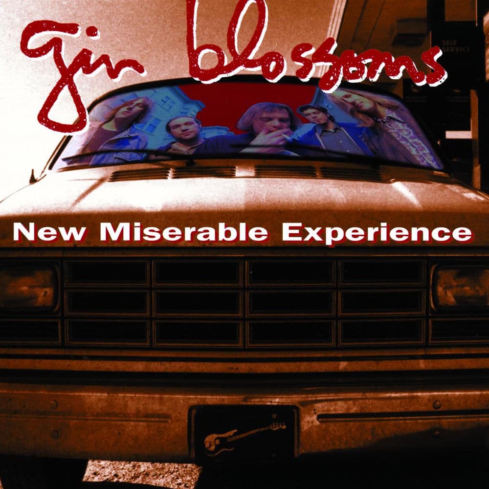 New Miserable Experience cover