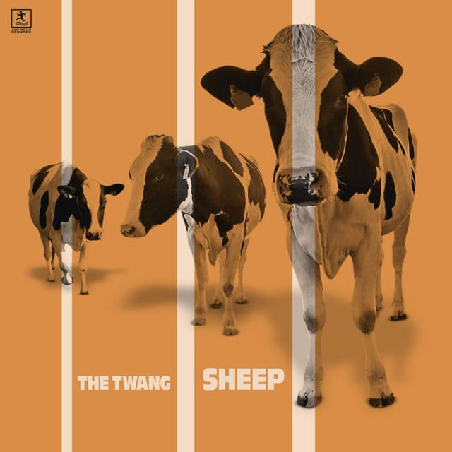 Sheep cover