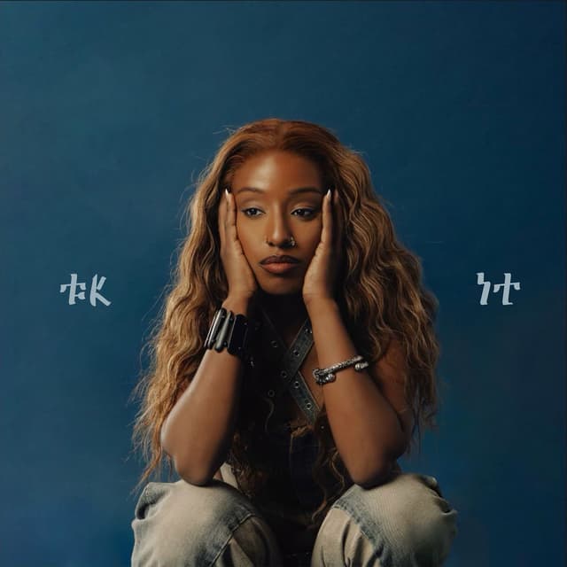 FK IT (Unplugged) cover