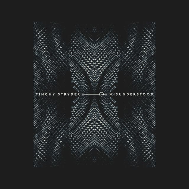 Misunderstood cover