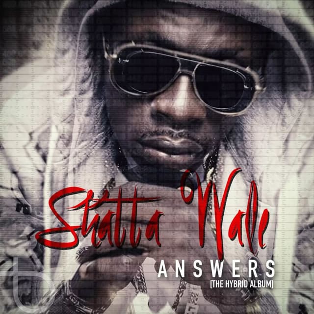 Answers (The Hybrid) cover
