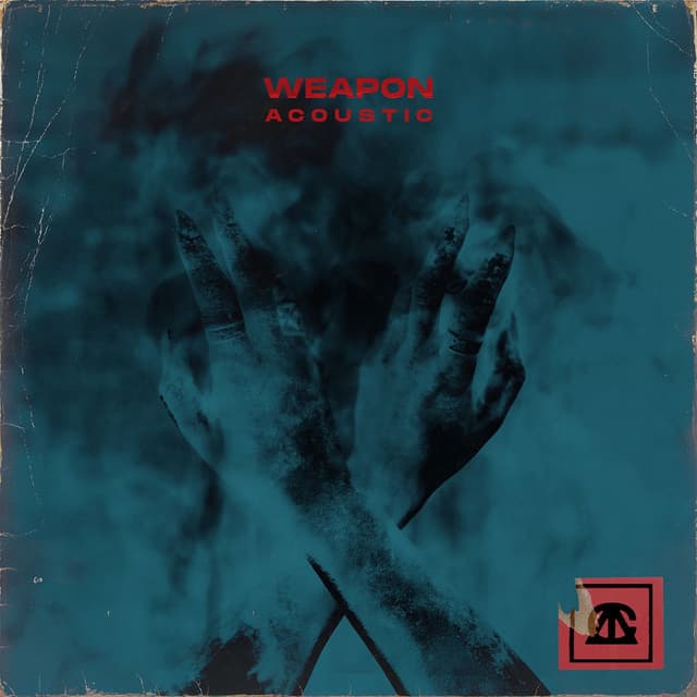 weapon (acoustic) cover
