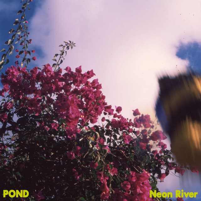 Neon River cover