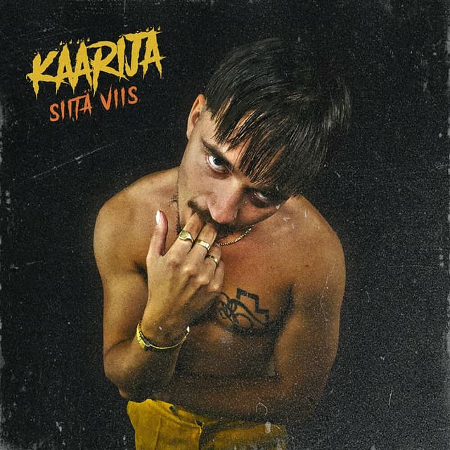 Siitä viis cover
