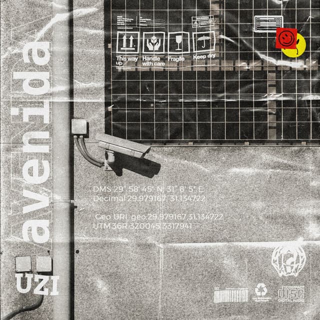 Avenida cover