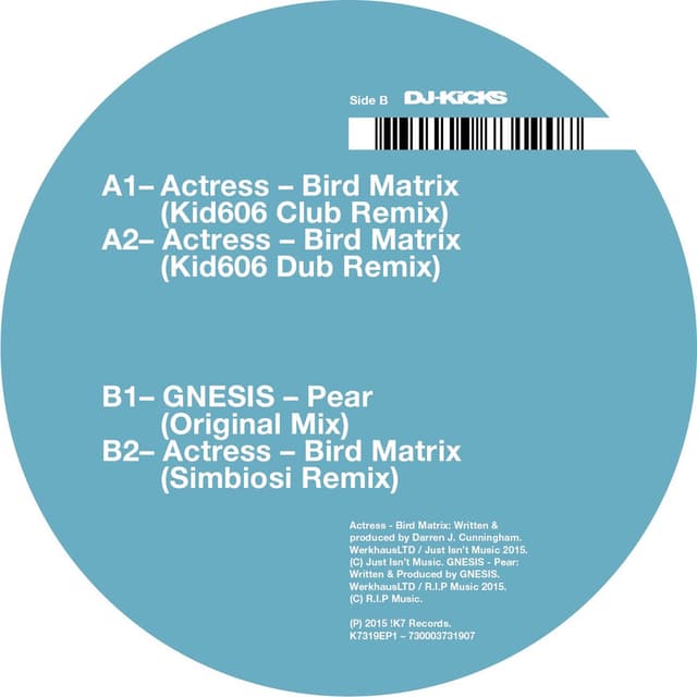 Bird Matrix (Remixes) cover