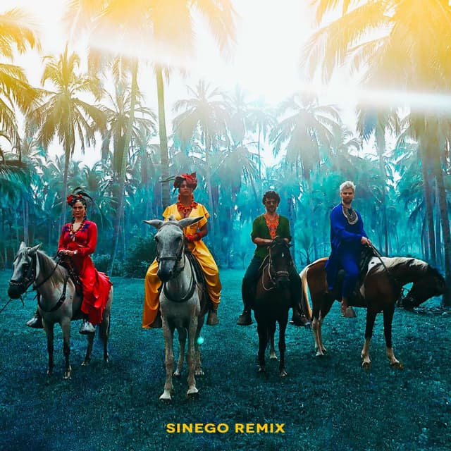 Playa Grande (Sinego Remix) cover