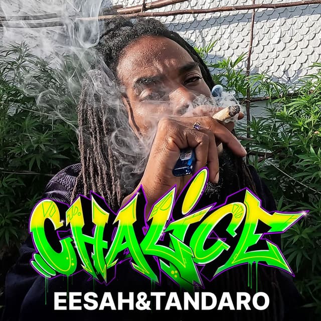 Chalice cover