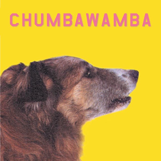 WYSIWYG album cover