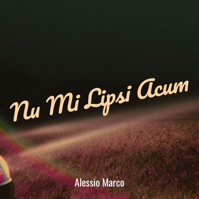 Nu Mi Lipsi Acum cover