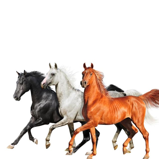 Old Town Road (Diplo Remix) cover